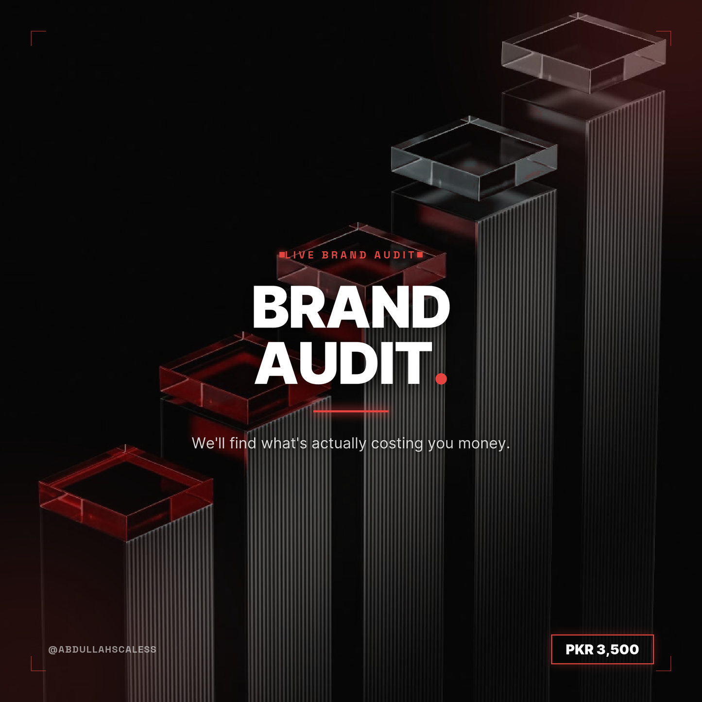 Brand Audit
